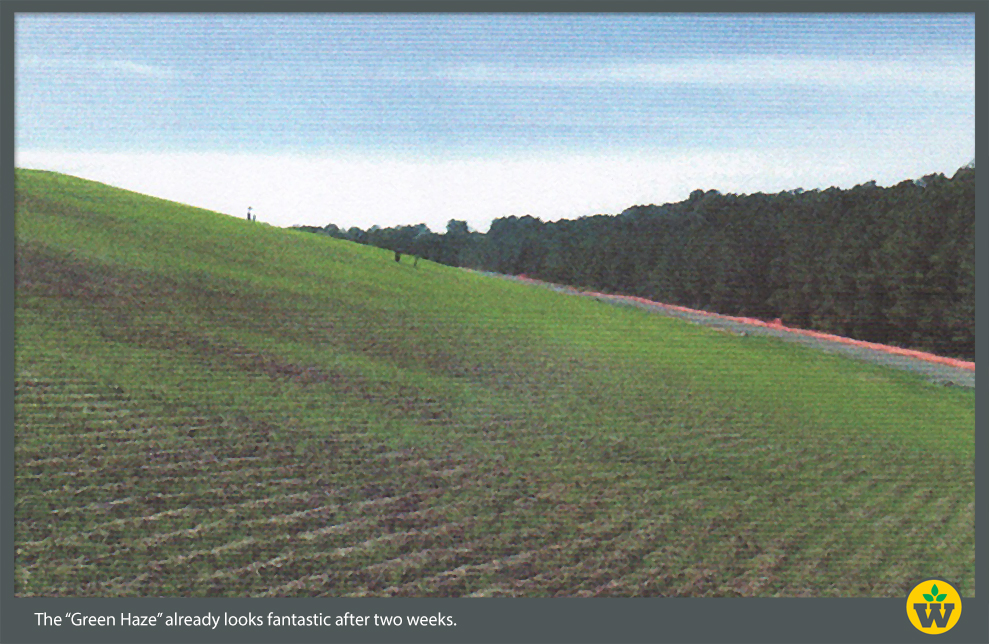 Biochar and compost mix. Healthy soil brings the field back to life.