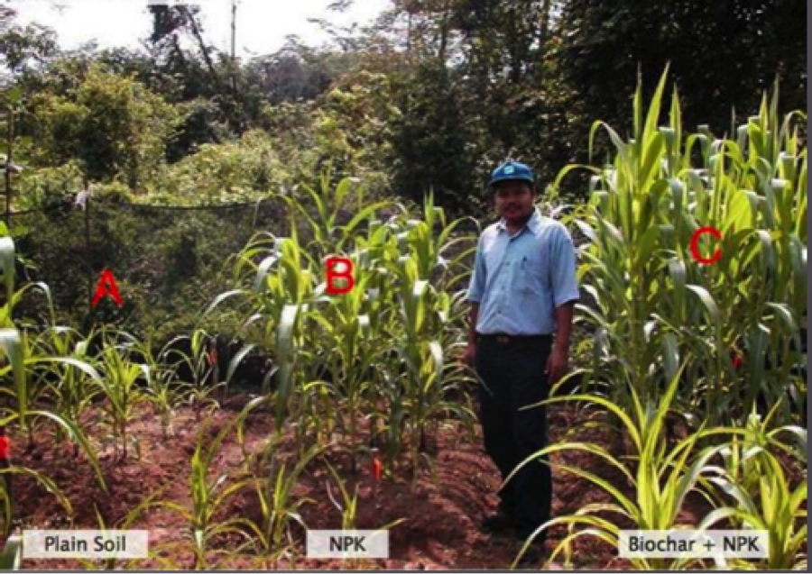 Minneapolis Studies Impact Of Biochar