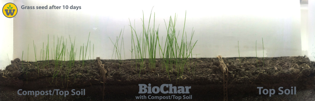 Biochar for lawncare