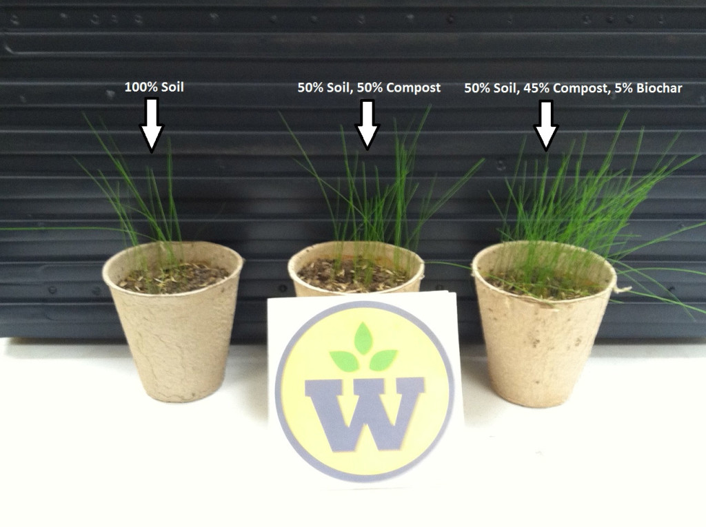 Biochar and Grass Seed - Mizzou Lab Results