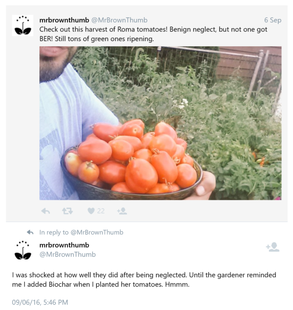 MrBrownThumb shares harvest of Roma tomatoes