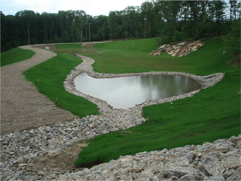 Retention Ponds Can Use Biochar