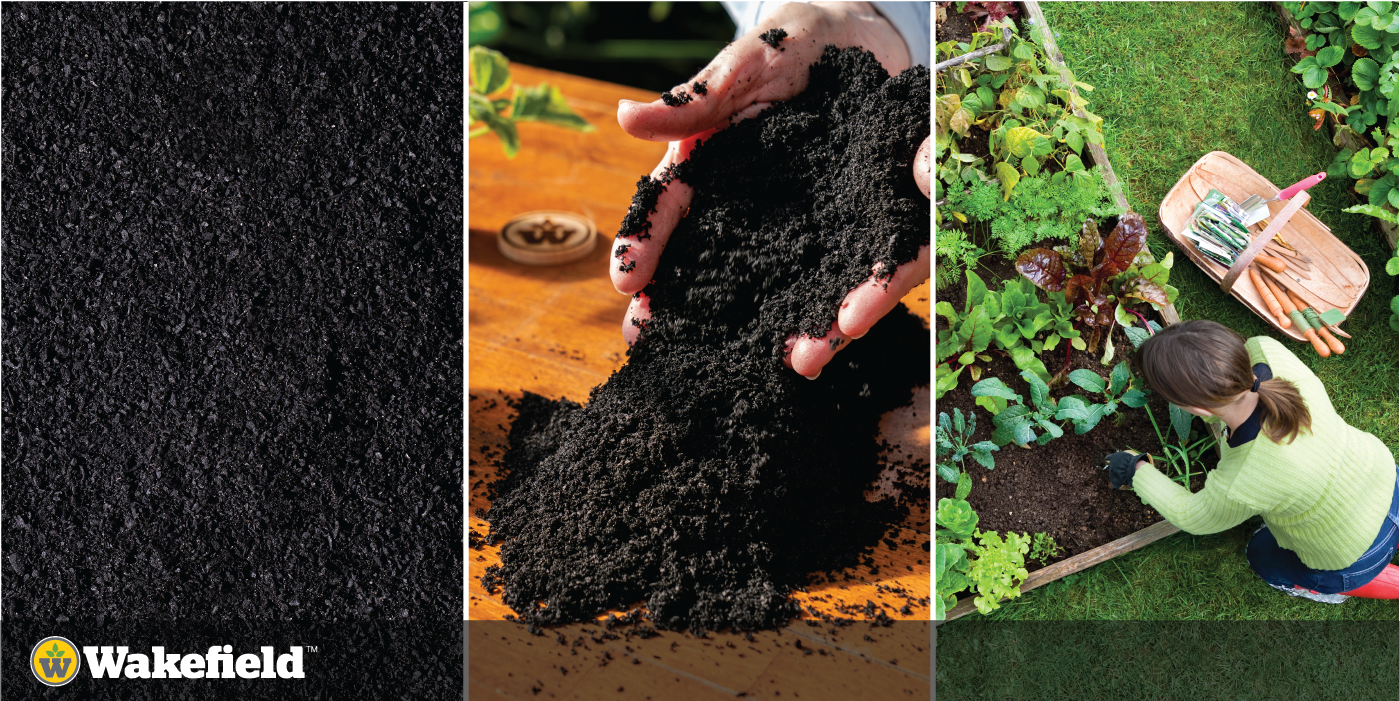 What Is Biochar