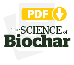 Biochar mitigates bioavailability and environmental risks of