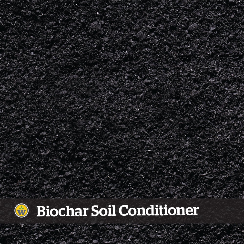 Wakefield Biochar Soil