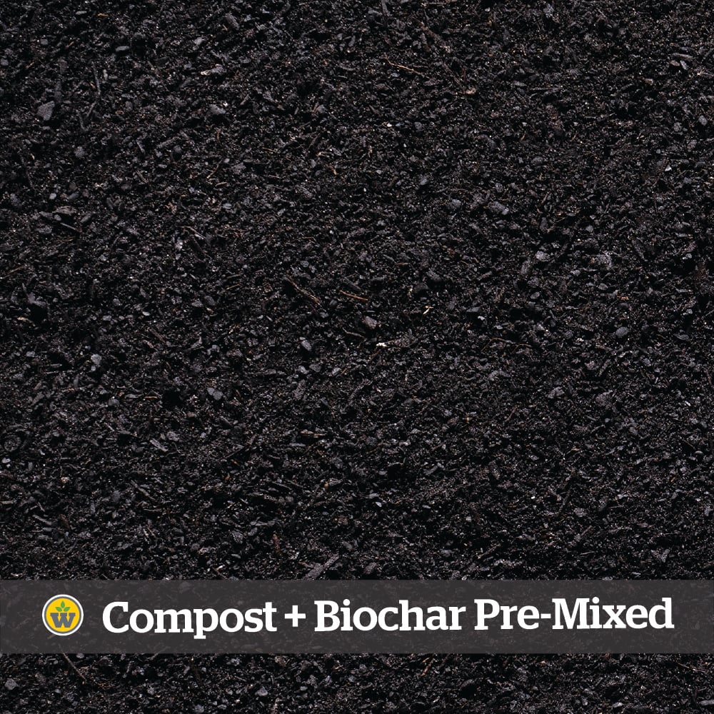 Wakefield Compost + Biochar Soil