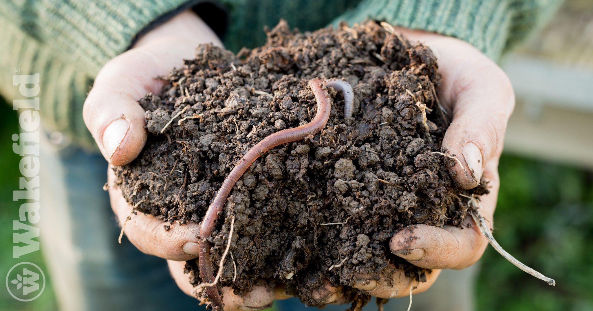 Can Worms Live In Biochar? Wakefield BioChar
