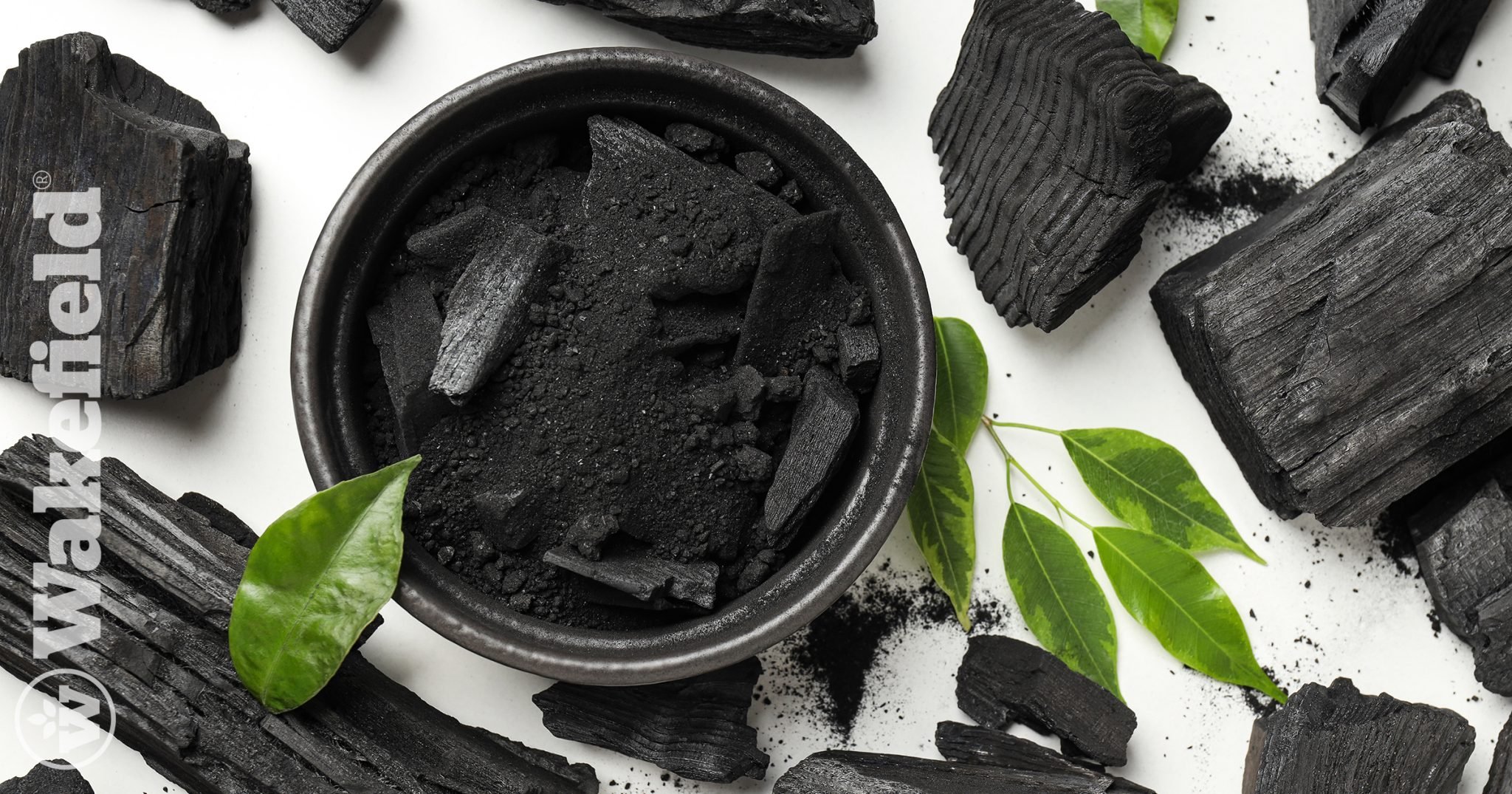 Can I Use Regular Charcoal as Biochar? - Wakefield BioChar