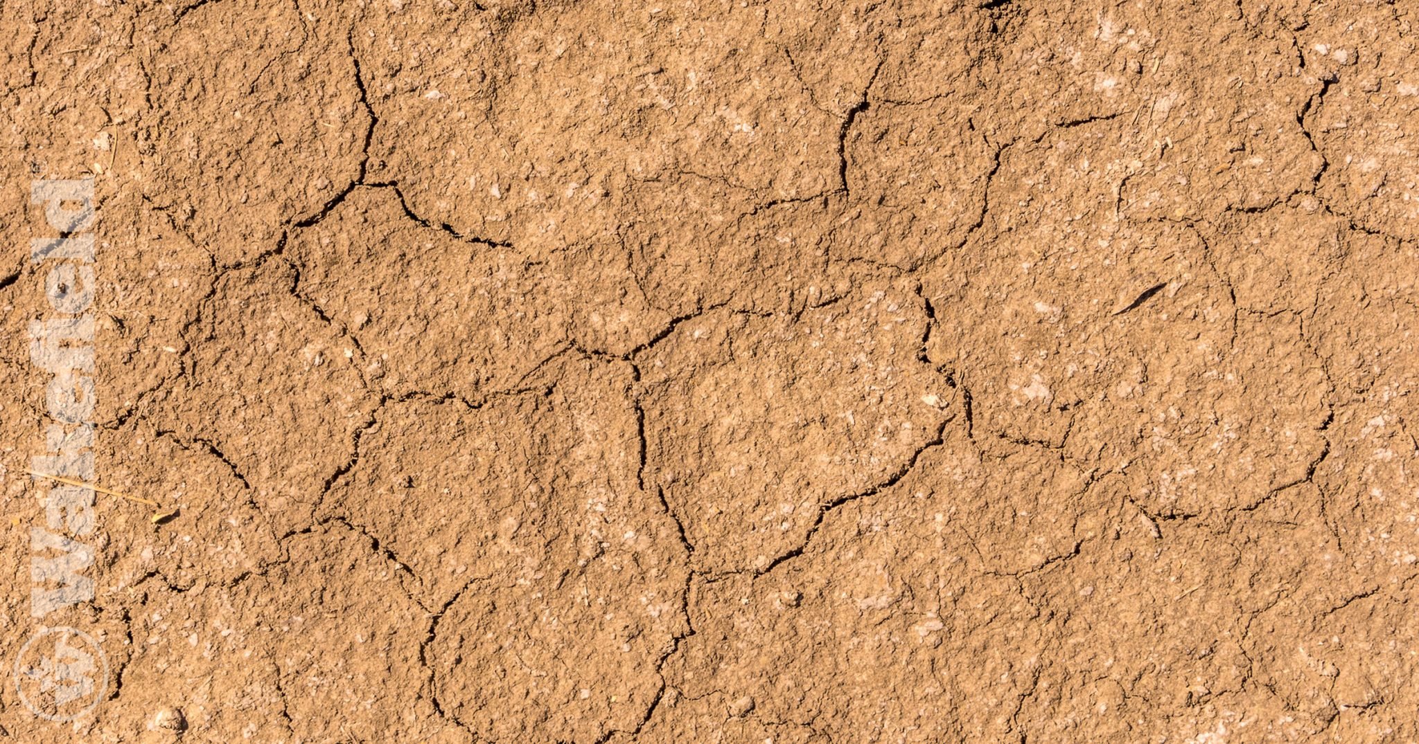 Silty Soil Conditions Wakefield BioChar Silty Soil Conditions Wakefield BioChar
